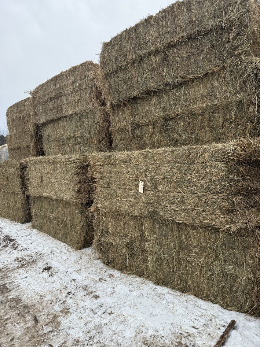 Image for JANUARY HAY & BEDDING AUCTION - Fairchild, WI