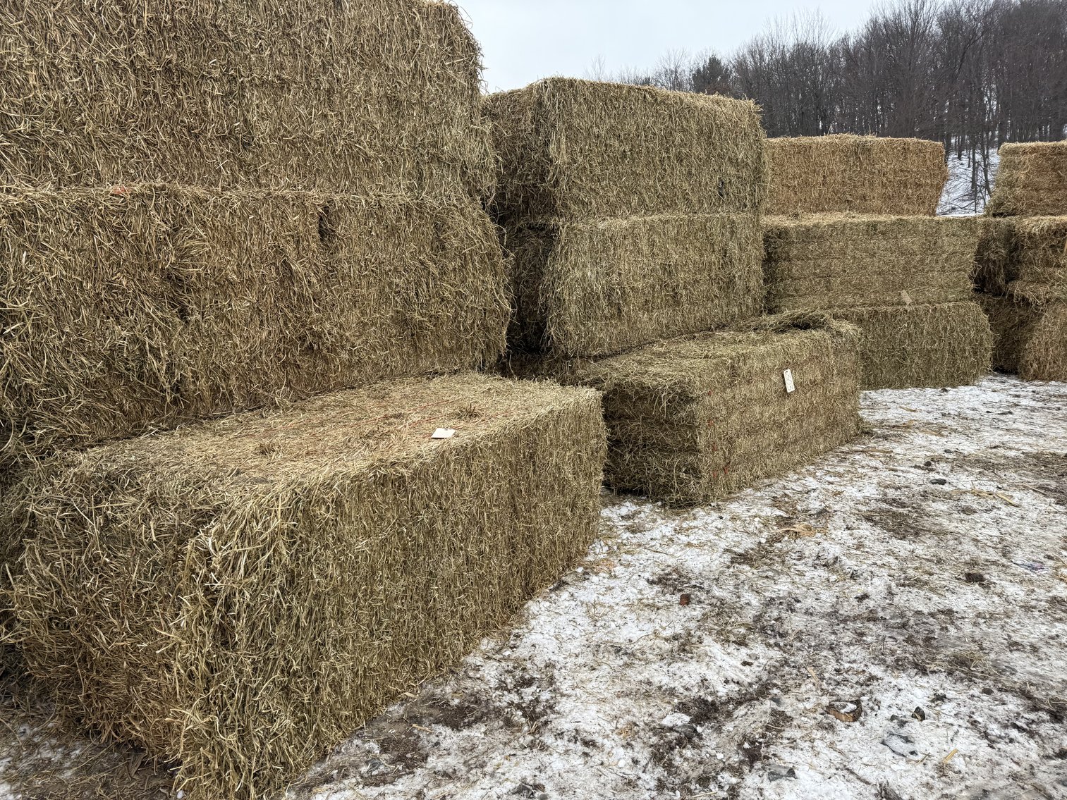 Image for JANUARY HAY & BEDDING AUCTION - Fairchild, WI
