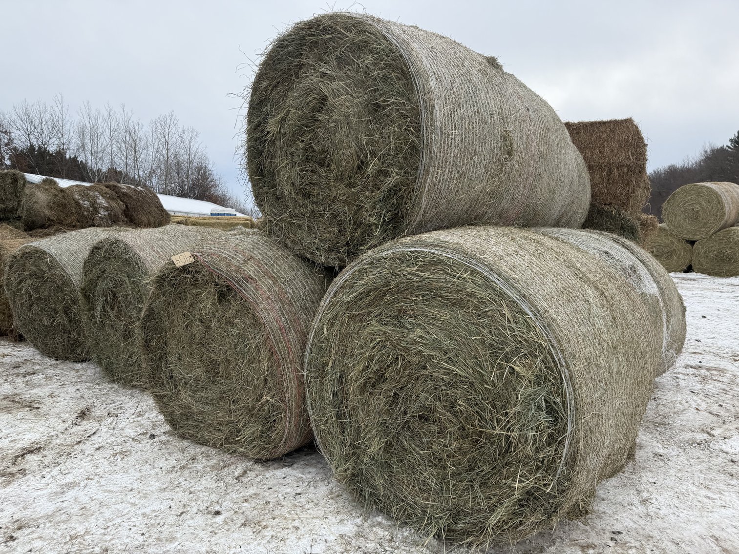 Image for JANUARY HAY & BEDDING AUCTION - Fairchild, WI
