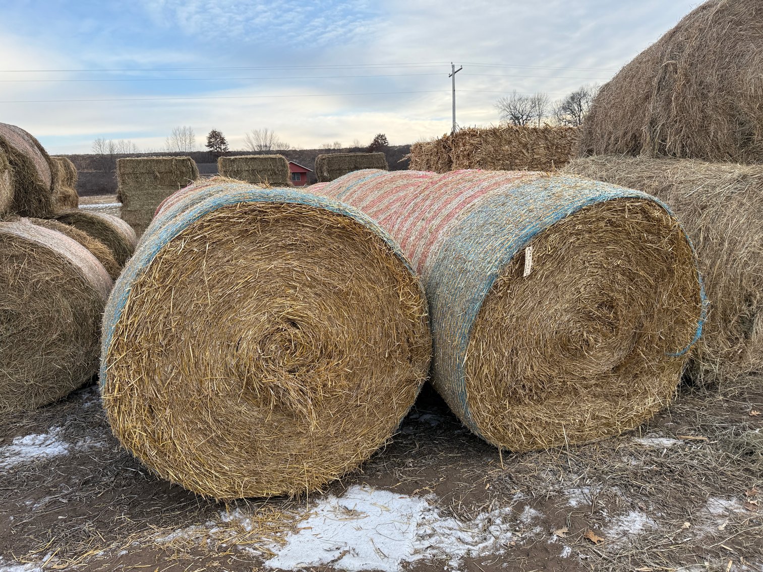 Image for LATE JANUARY HAY & BEDDING AUCTION - Dodge, WI