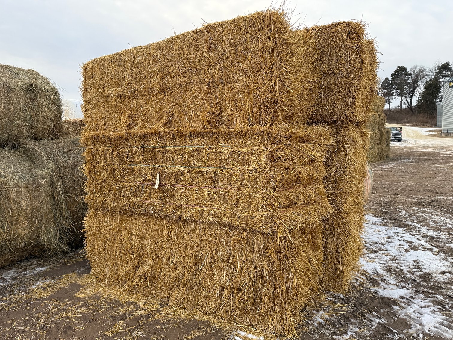 Image for LATE JANUARY HAY & BEDDING AUCTION - Dodge, WI
