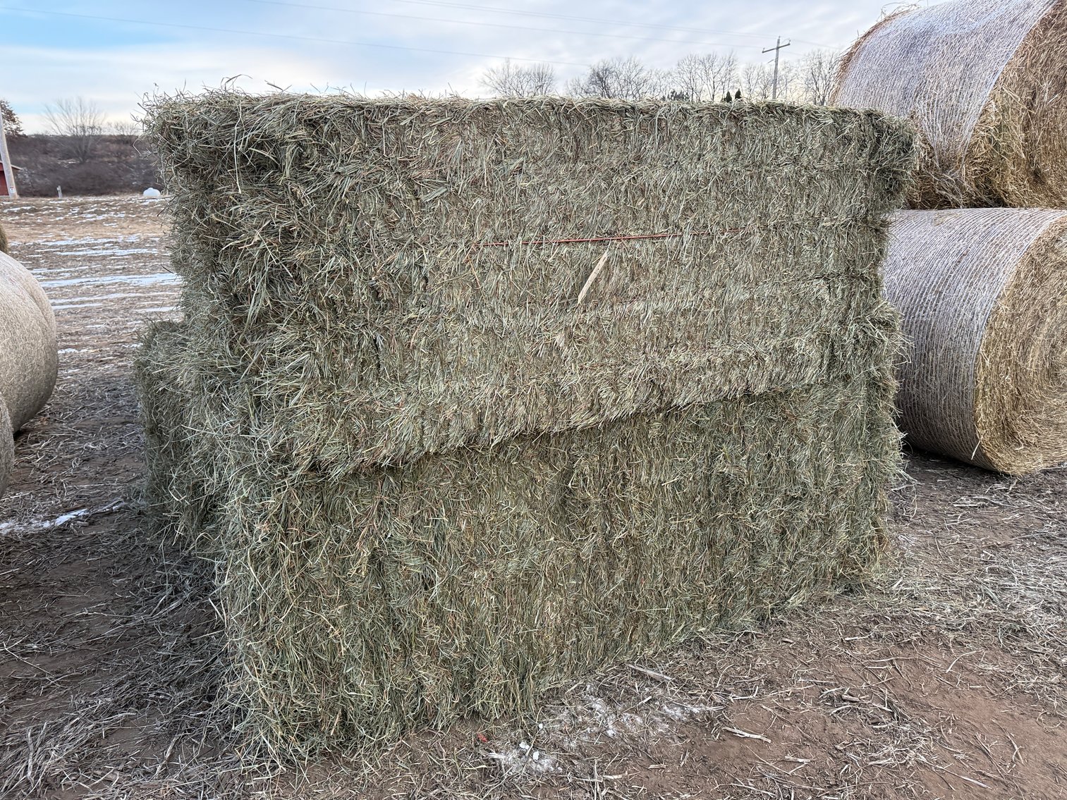 Image for LATE JANUARY HAY & BEDDING AUCTION - Dodge, WI