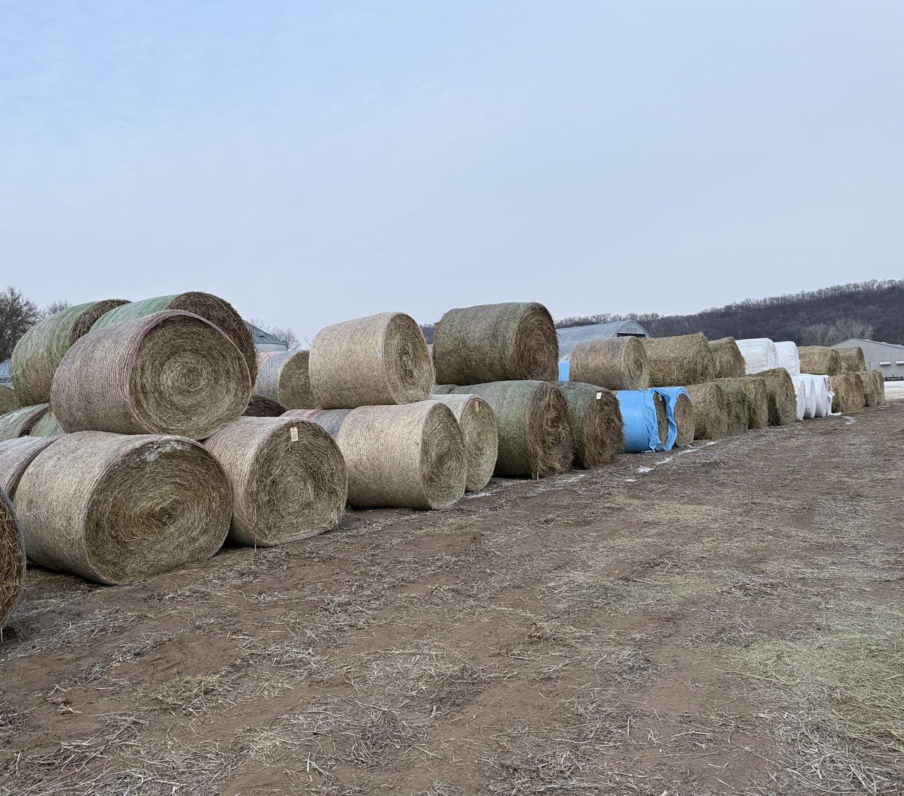 Image for LATE JANUARY HAY & BEDDING AUCTION - Dodge, WI