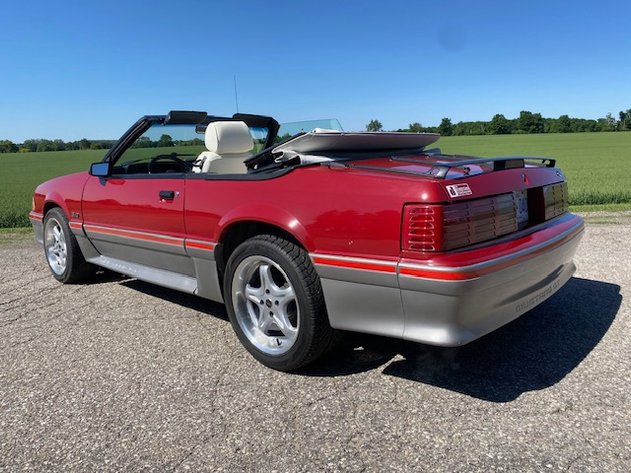 Image for The Big Bloom Multi Consignor Auction - Guelph