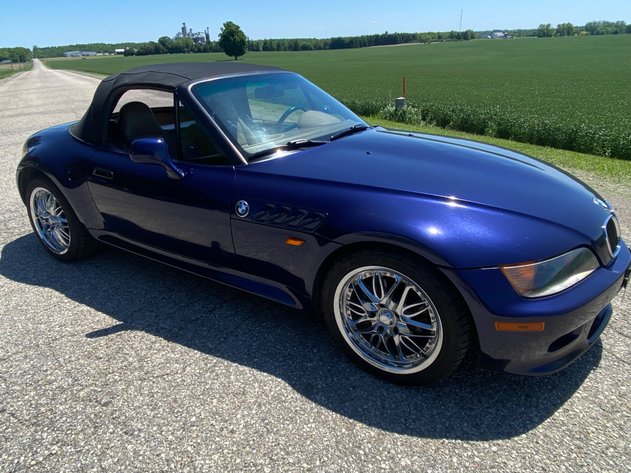 Image for The Big Bloom Multi Consignor Auction - Guelph