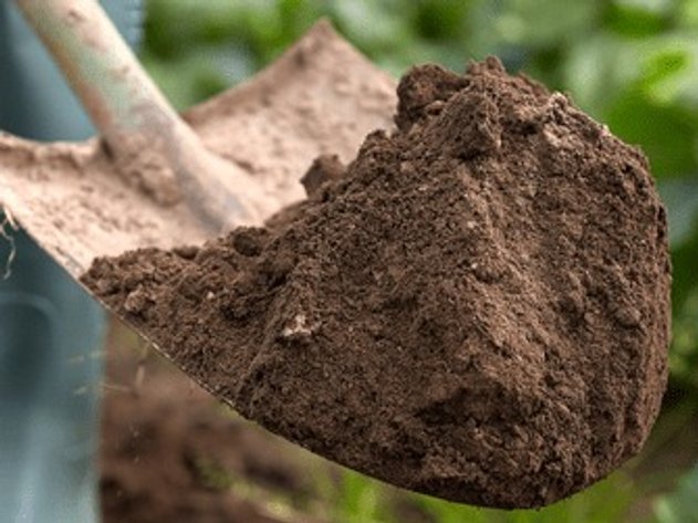 Image for Kiwanis Club of Orillia Live Auction