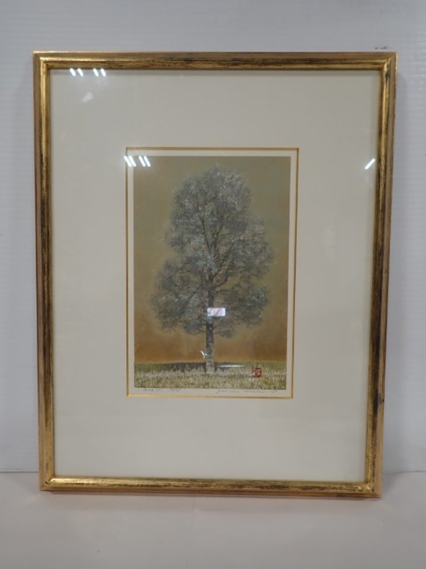 Image for Estate of Major Robinson - Kitchener