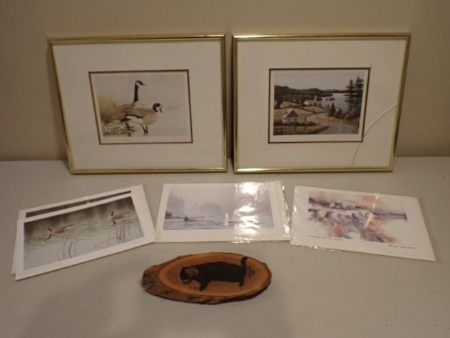Image for Canadian Nature Prints
