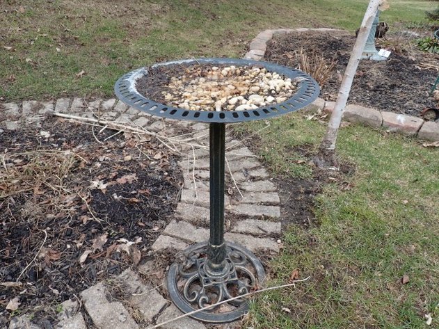 Image for Metal Birdbath