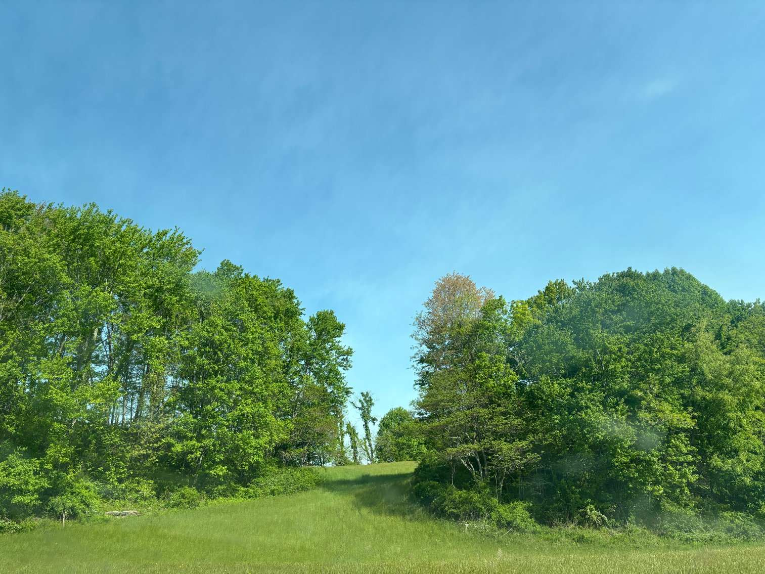 Image for Tevepaugh Auction Sat. May 30 @ 11 A.M.