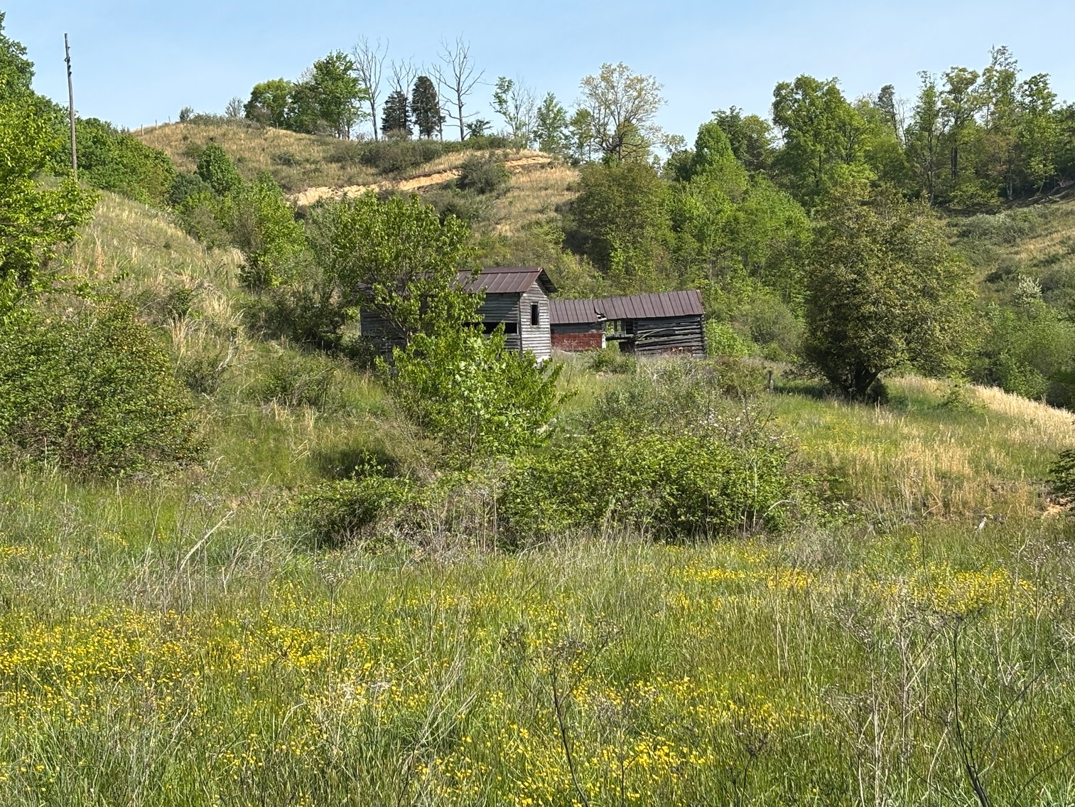 Image for Tevepaugh Auction Sat. May 30 @ 11 A.M.