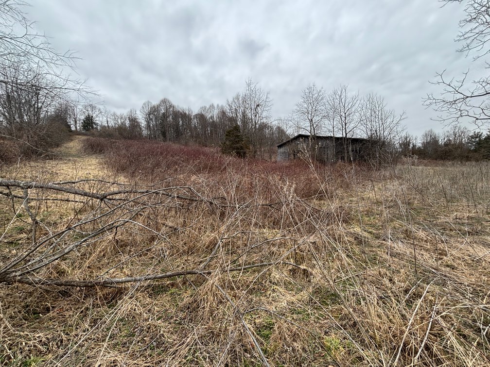 Image for Auction Sat. June 27th @ 10 A.M. Widener Valley Rd Glade Spring, VA