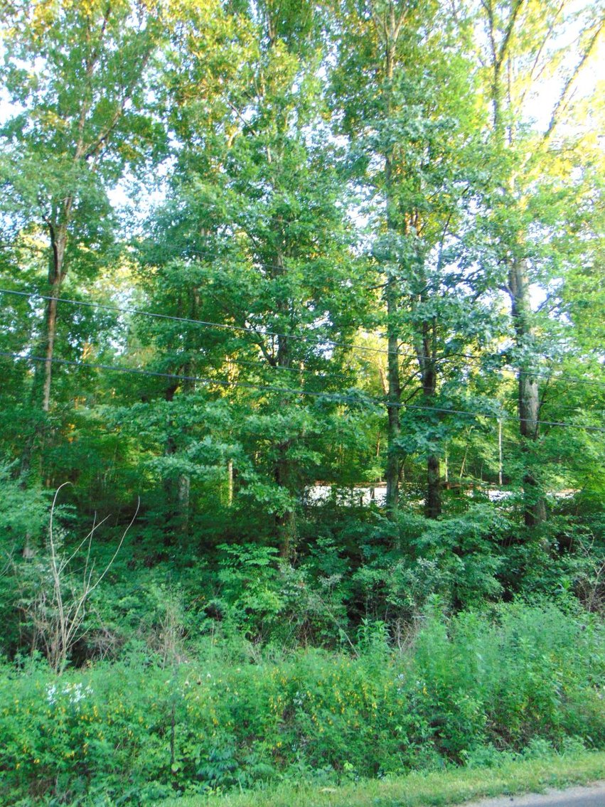 Image for Lot (1.59 acre) on Hinson Street w/ Utilities - Hohenwald