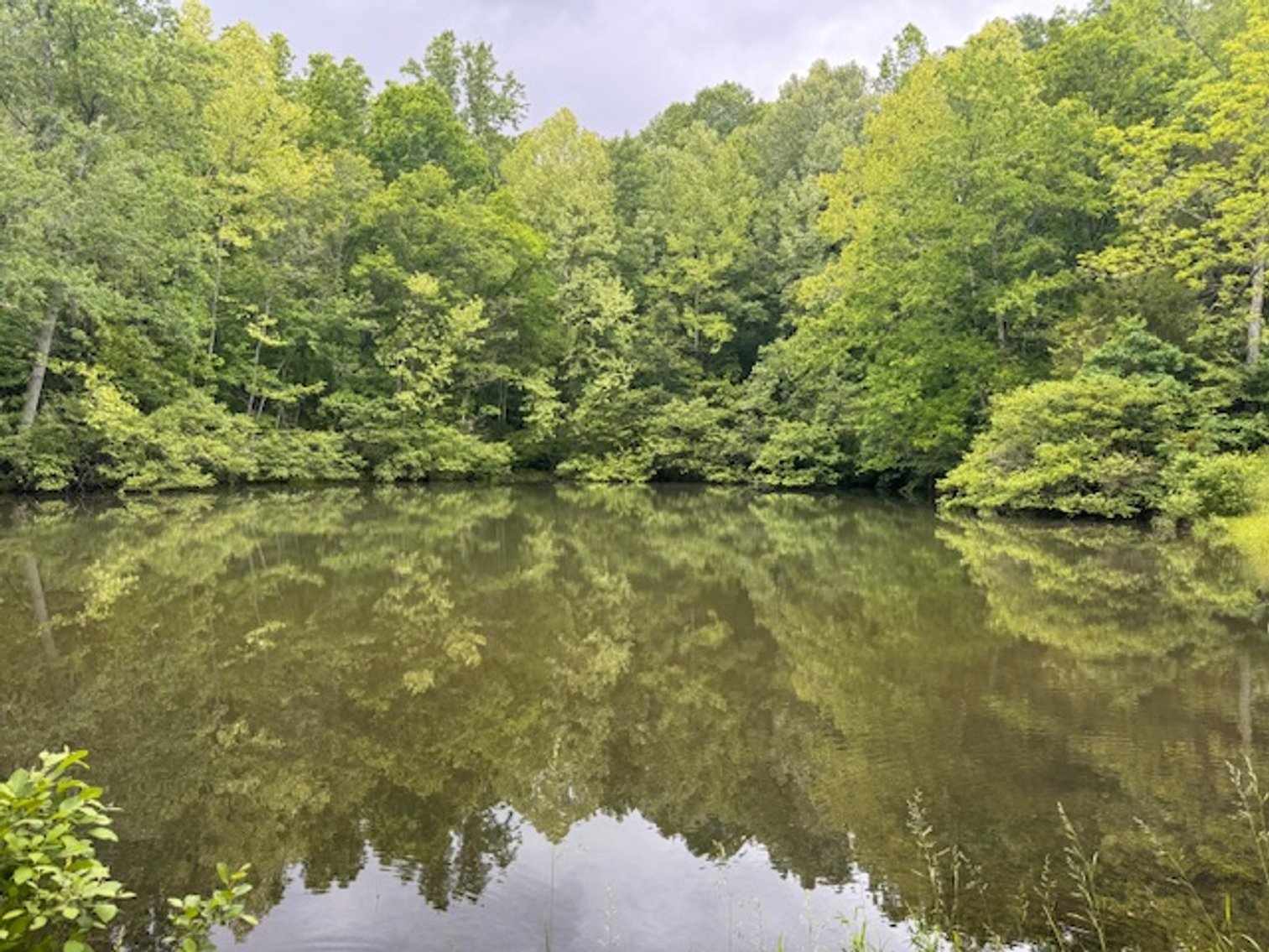Image for Lake, Springs, Creek & Farmhouse - 16.85 acres