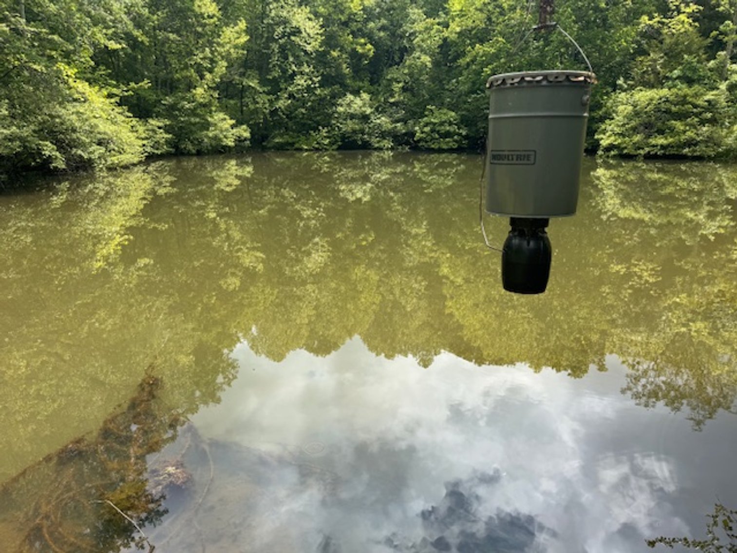 Image for Lake, Springs, Creek & Farmhouse - 16.85 acres