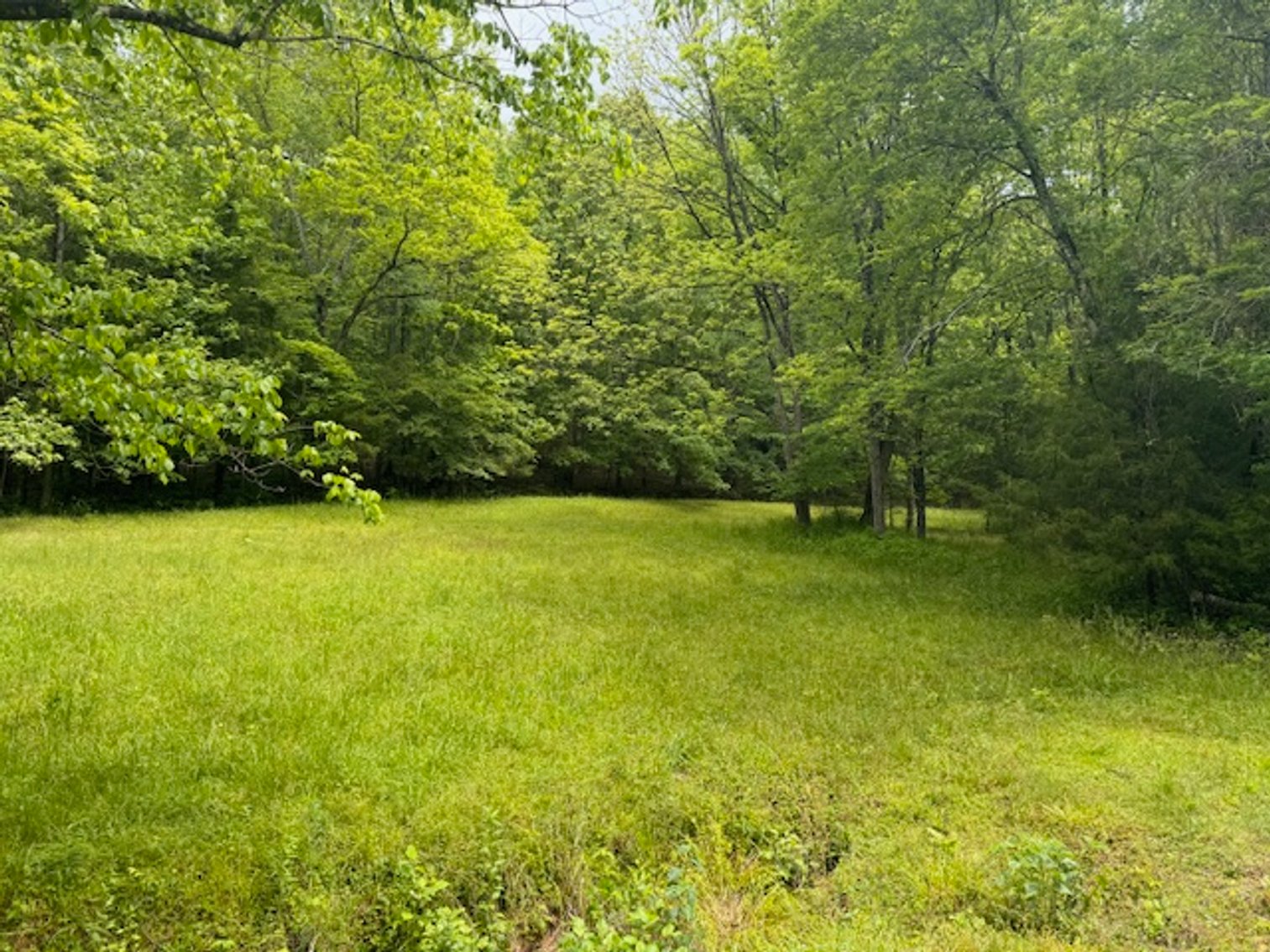 Image for Lake, Springs, Creek & Farmhouse - 16.85 acres