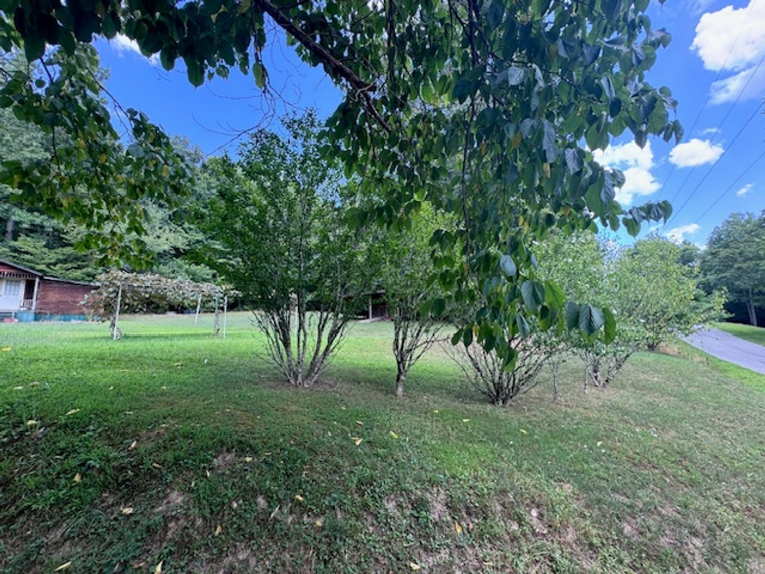 Image for Lake, Springs, Creek & Farmhouse - 16.85 acres