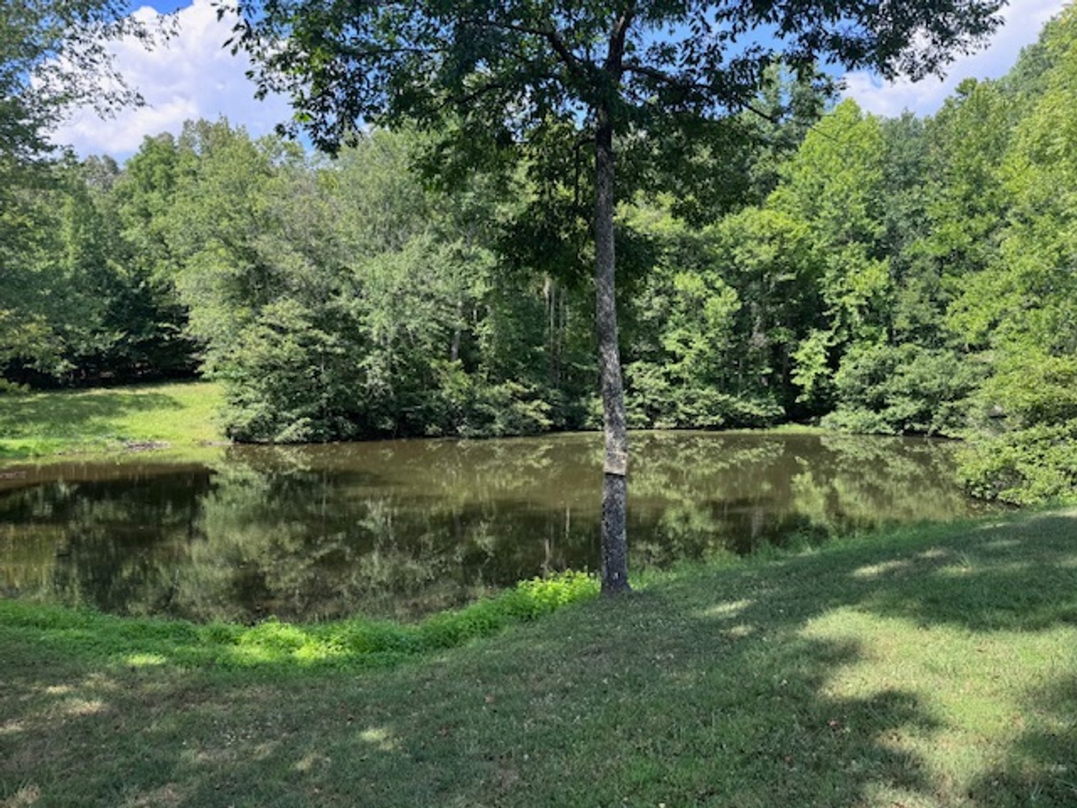 Image for Lake, Springs, Creek & Farmhouse - 16.85 acres