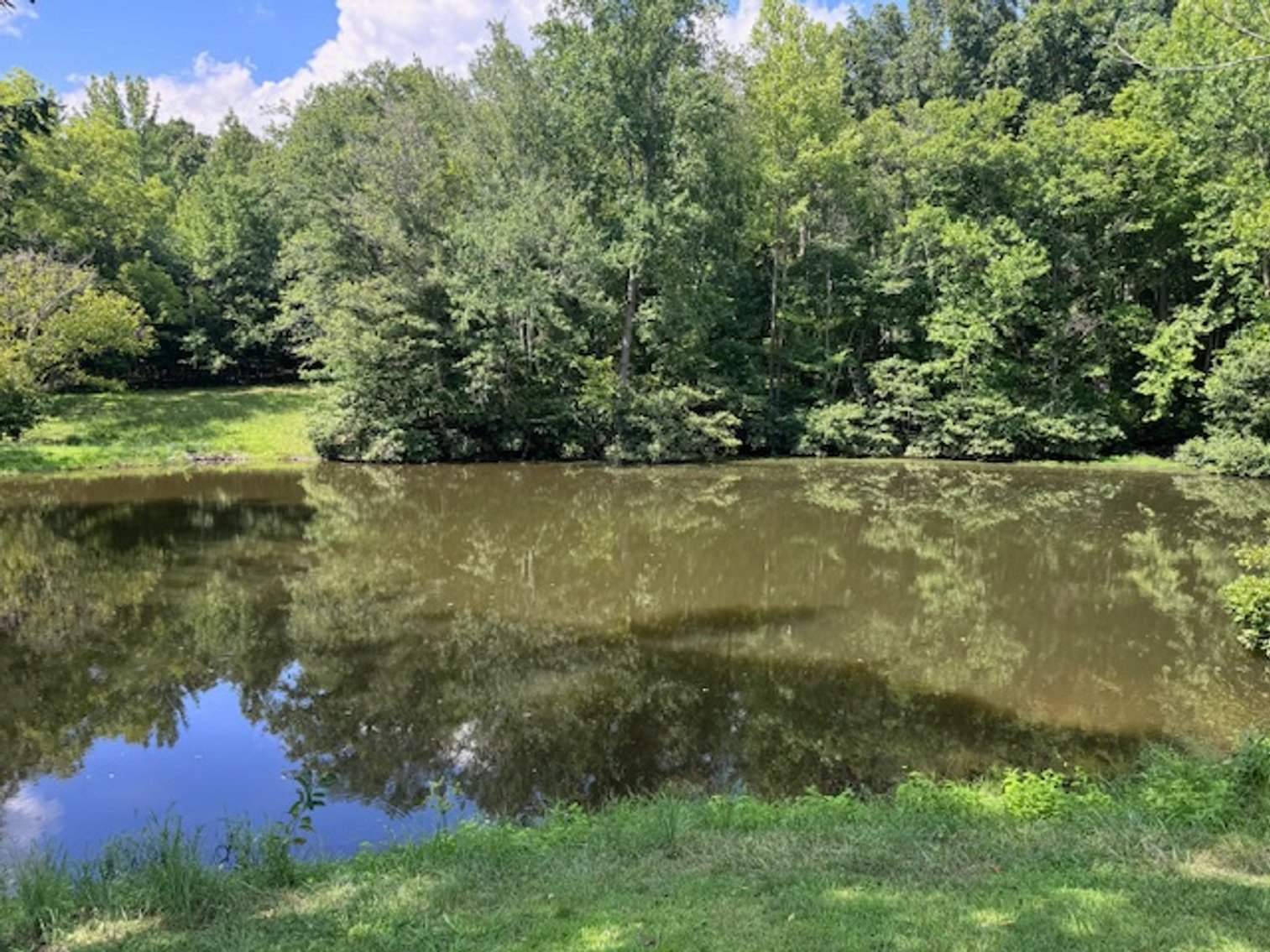 Image for Lake, Springs, Creek & Farmhouse - 16.85 acres
