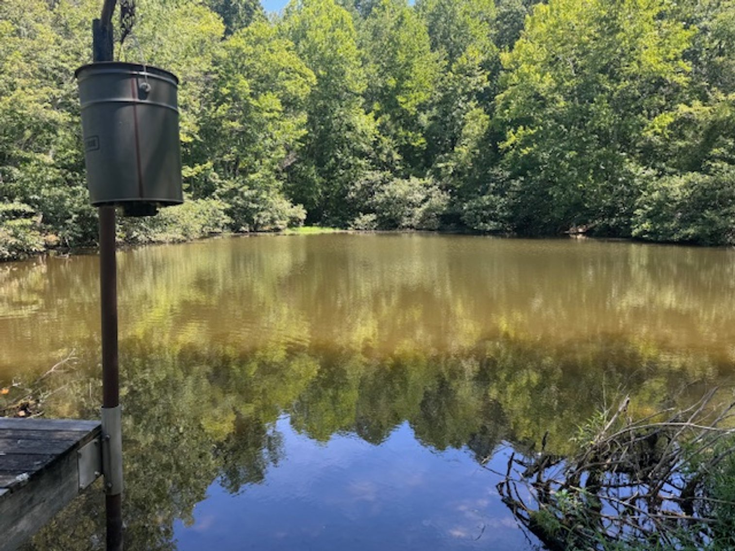 Image for Lake, Springs, Creek & Farmhouse - 16.85 acres