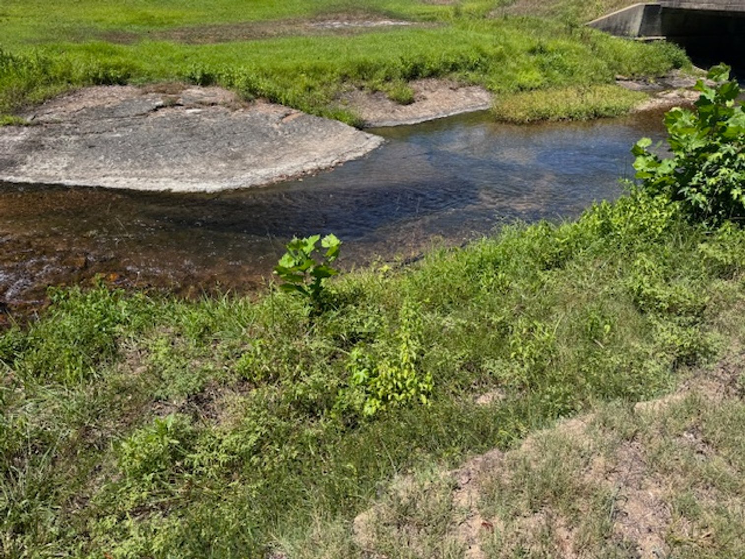 Image for Lake, Springs, Creek & Farmhouse - 16.85 acres