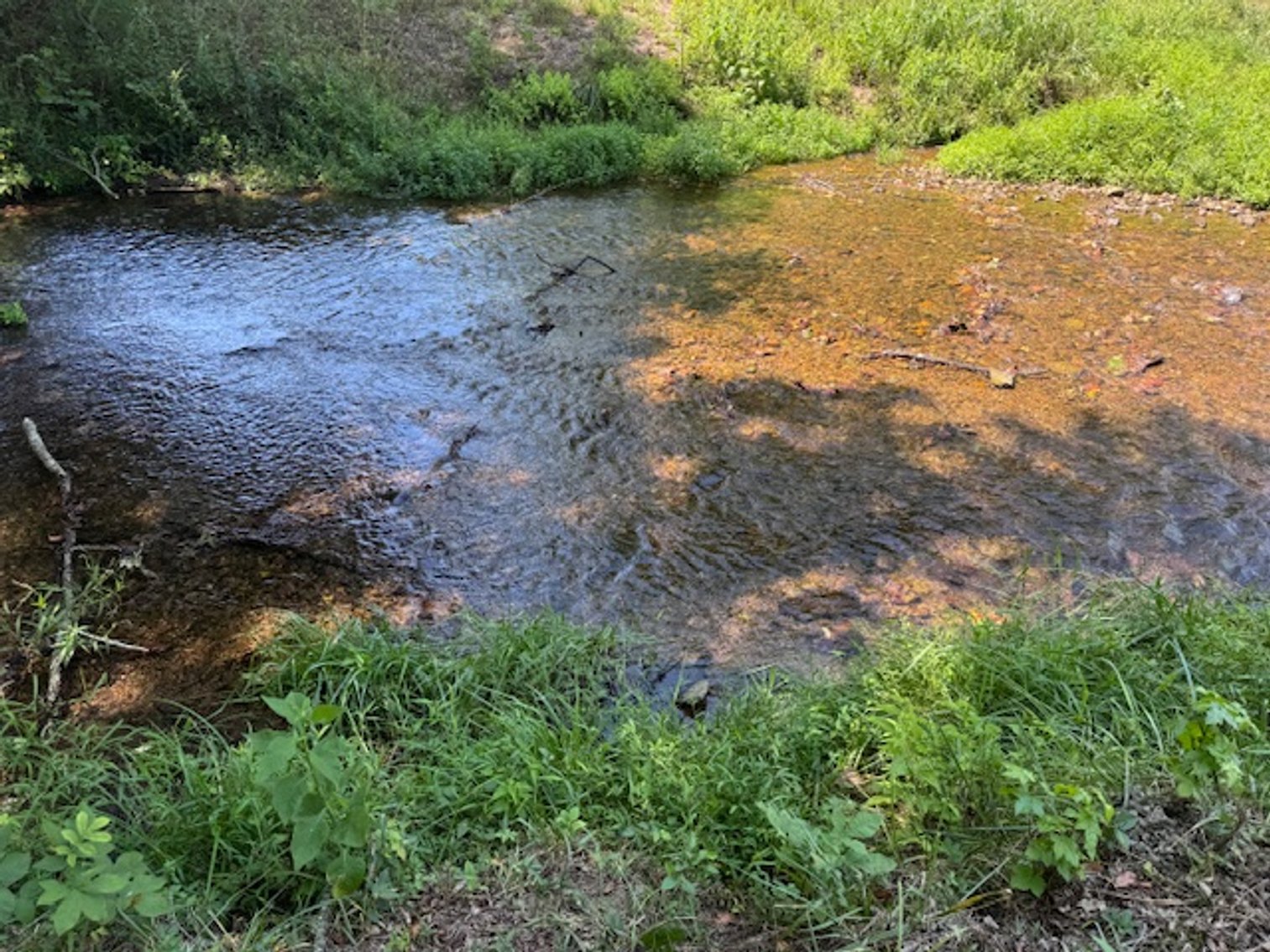 Image for Lake, Springs, Creek & Farmhouse - 16.85 acres