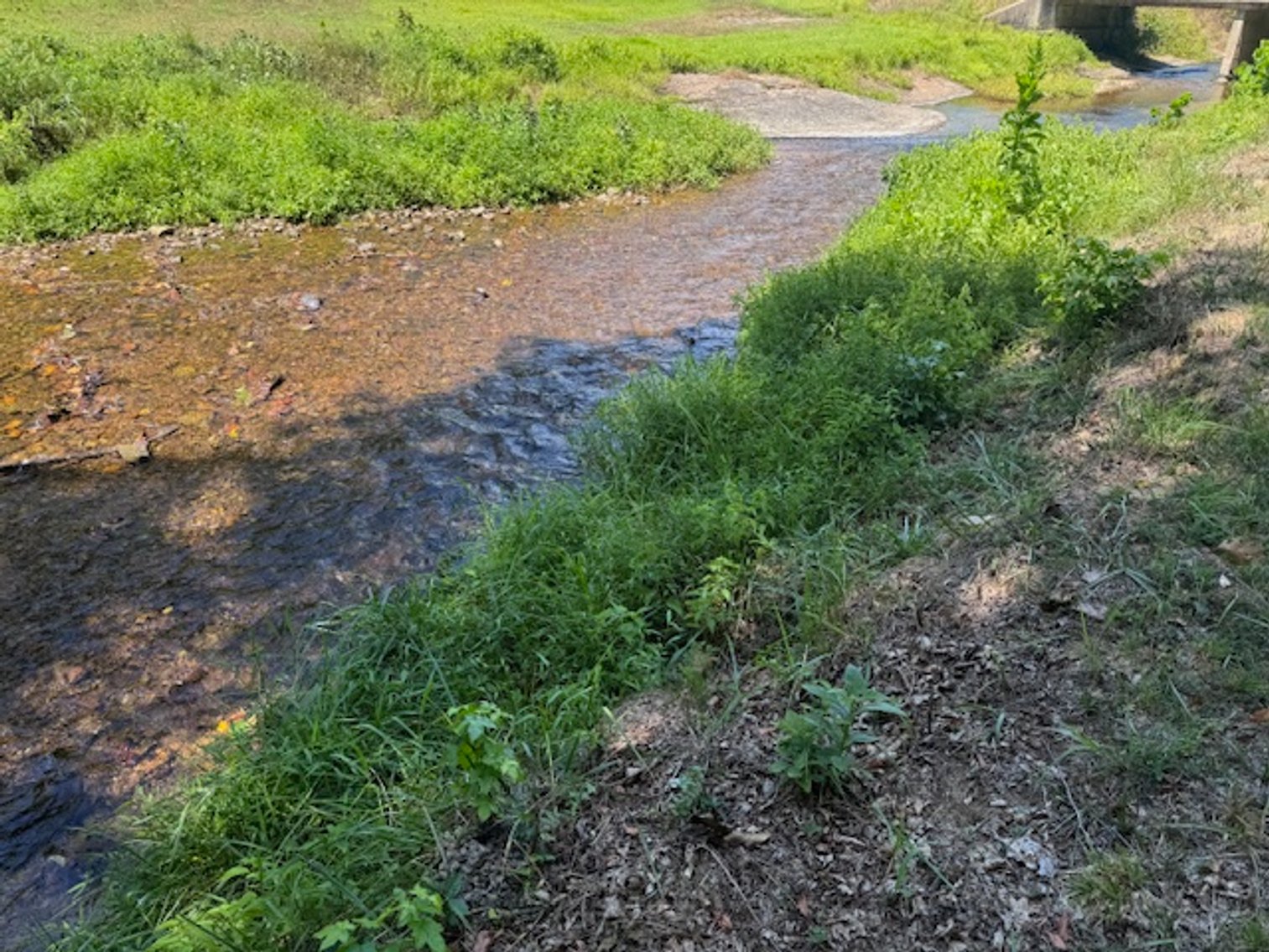 Image for Lake, Springs, Creek & Farmhouse - 16.85 acres