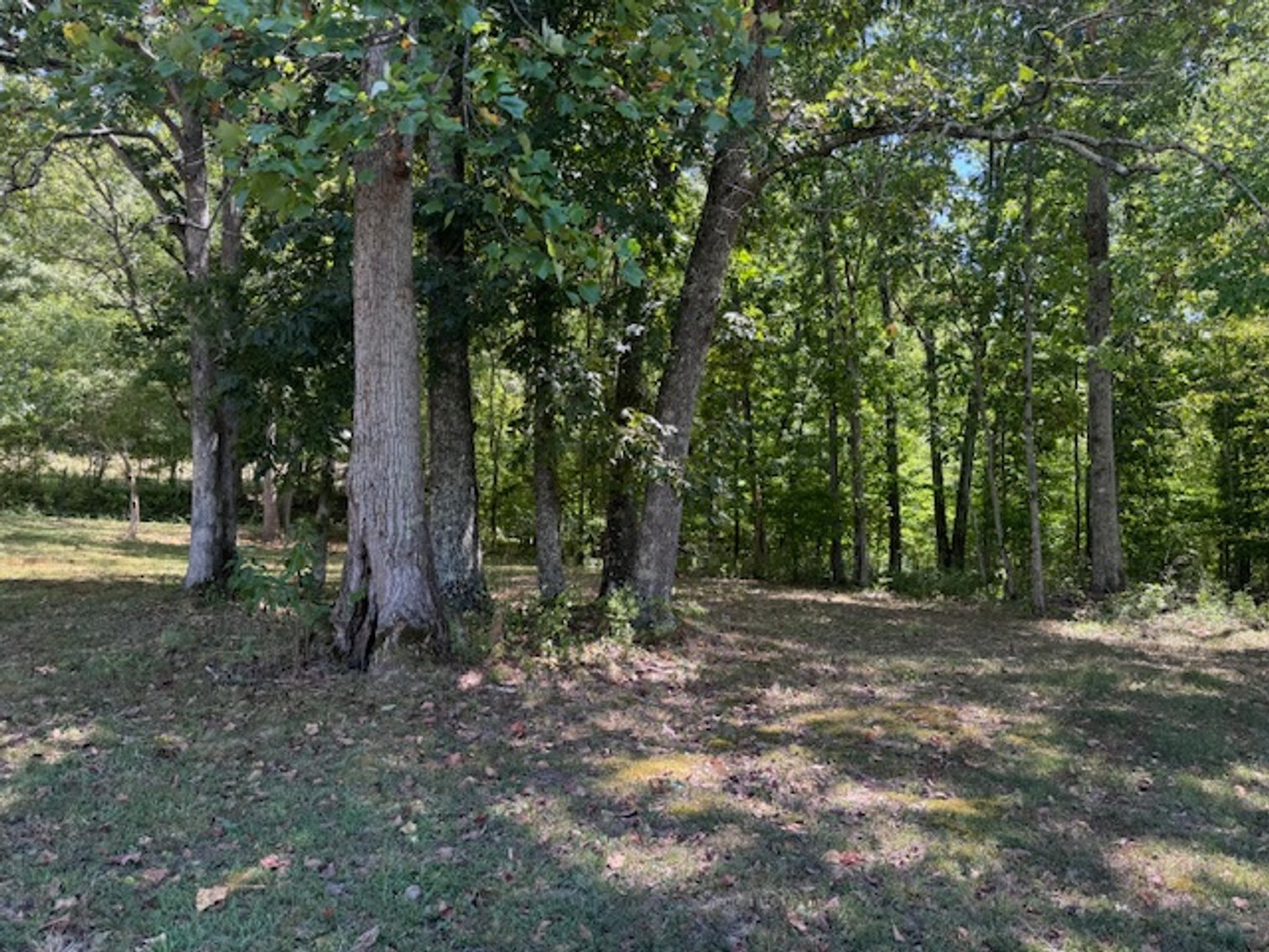 Image for Lake, Springs, Creek & Farmhouse - 16.85 acres