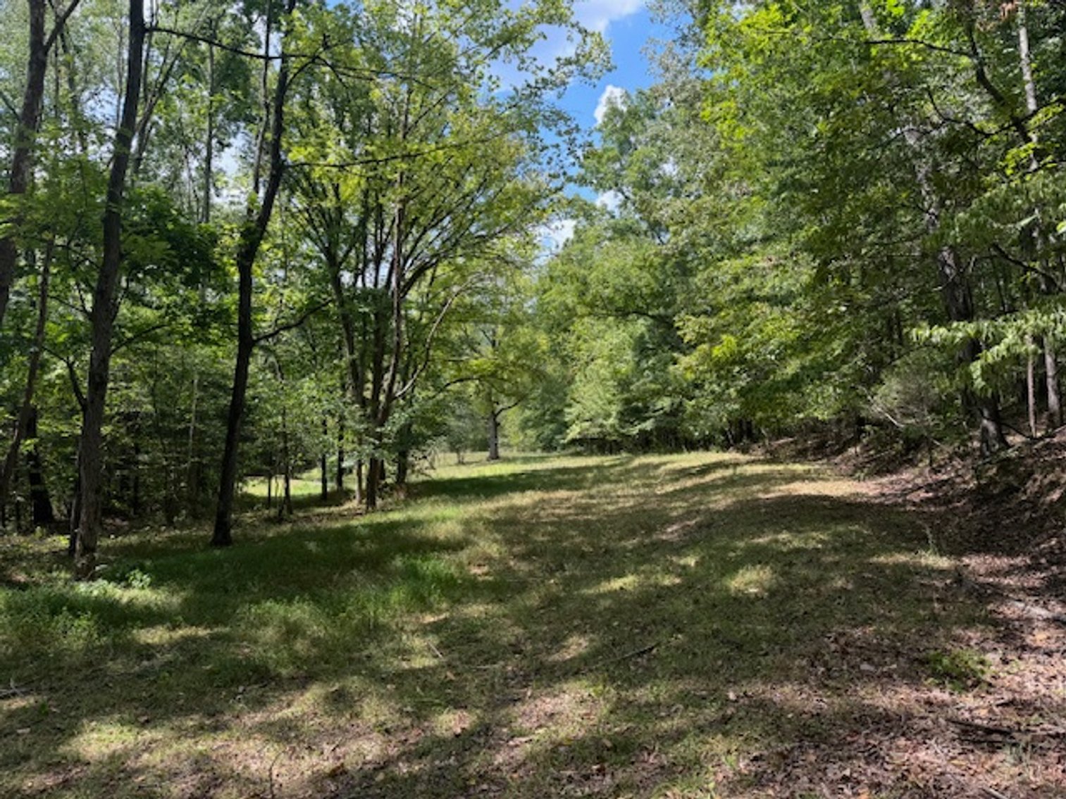 Image for Lake, Springs, Creek & Farmhouse - 16.85 acres