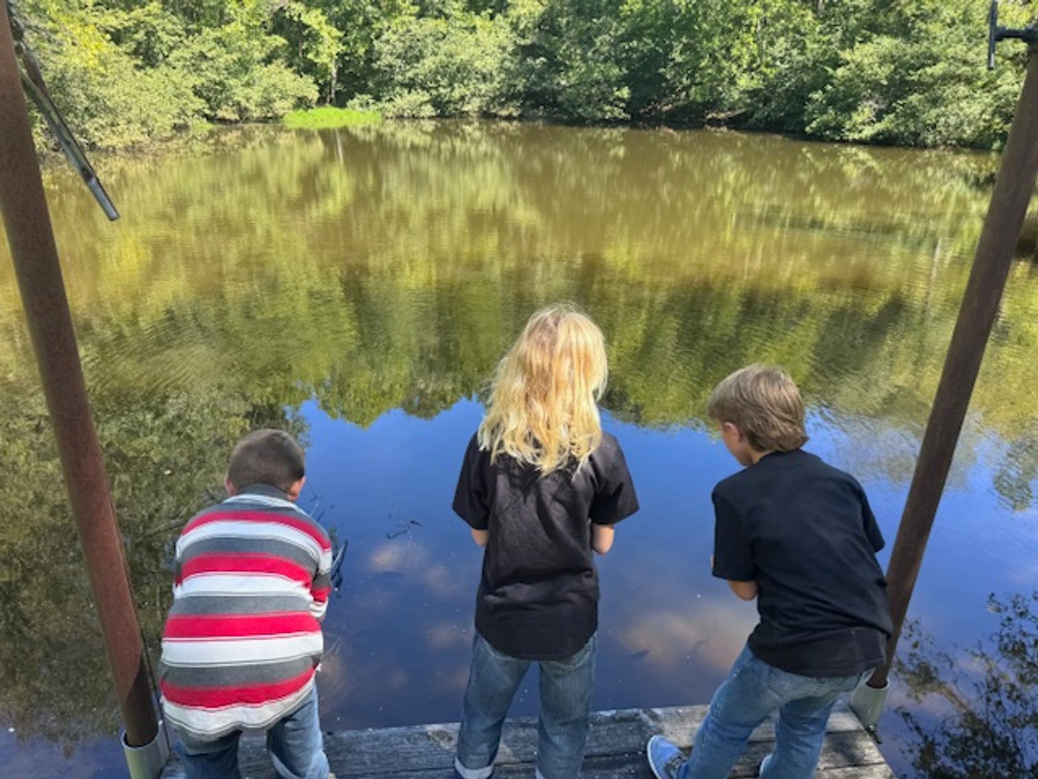 Image for Lake, Springs, Creek & Farmhouse - 16.85 acres