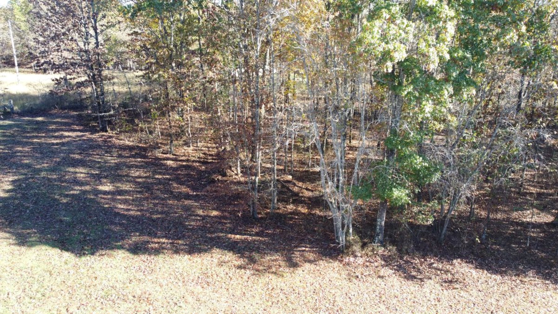 Image for Rustic Retreat / Country Getaway on 16+ Acres 1 Hour West of Nashville