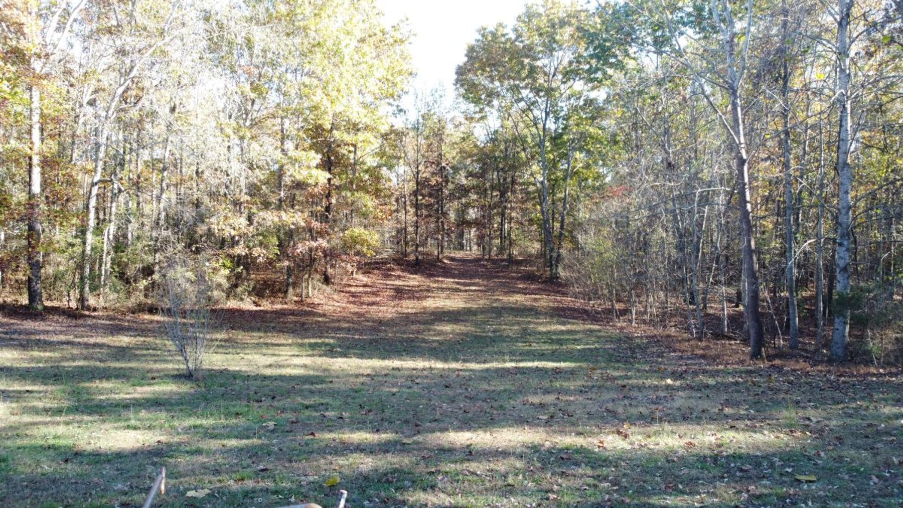 Image for Rustic Retreat / Country Getaway on 16+ Acres 1 Hour West of Nashville