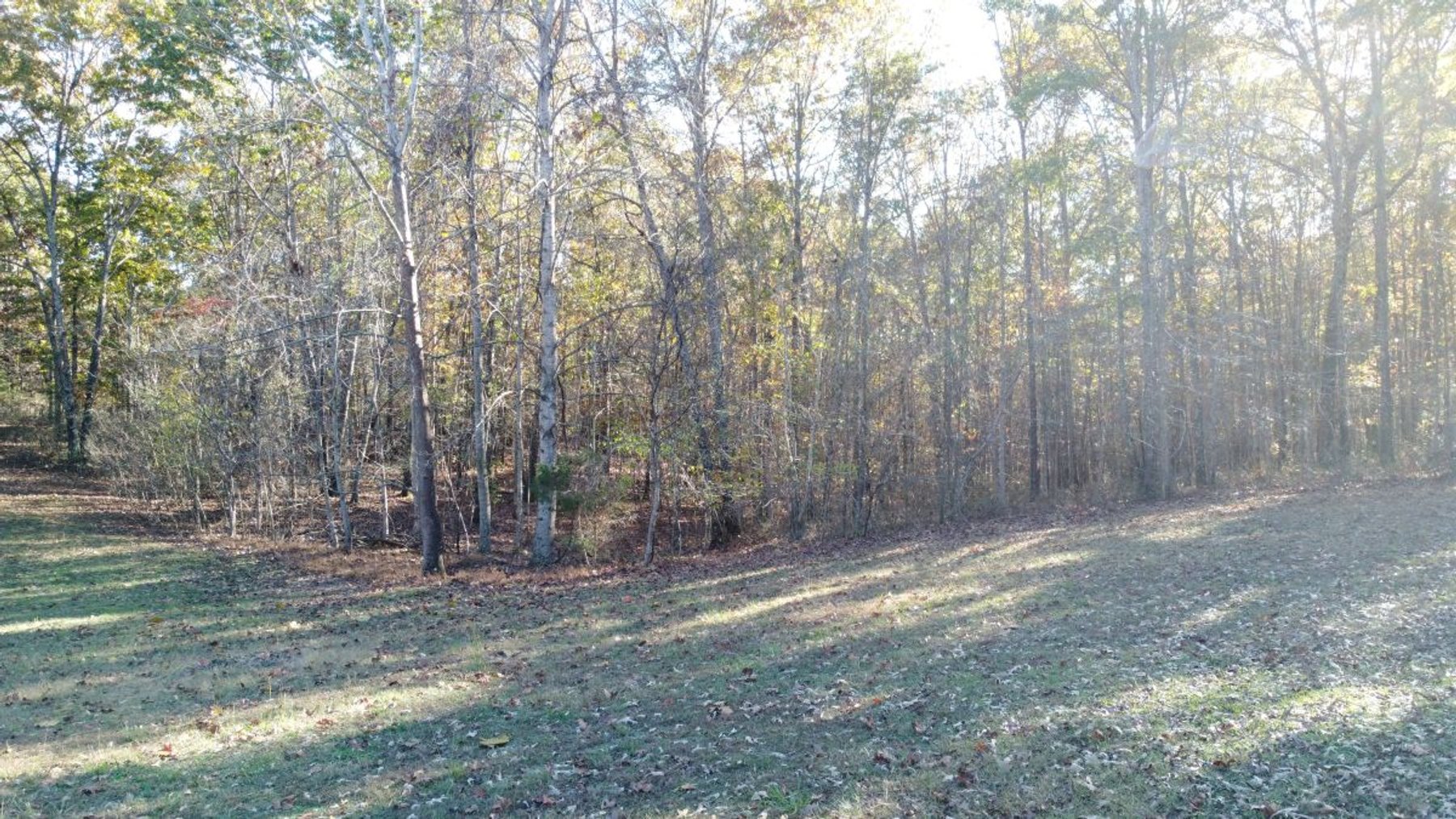 Image for Rustic Retreat / Country Getaway on 16+ Acres 1 Hour West of Nashville