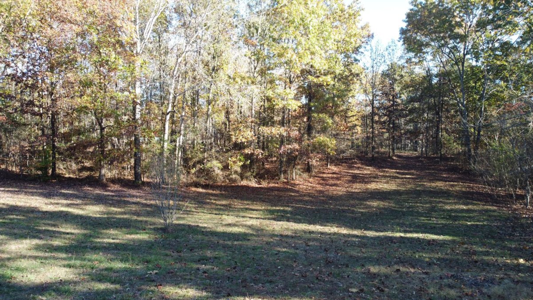 Image for Rustic Retreat / Country Getaway on 16+ Acres 1 Hour West of Nashville