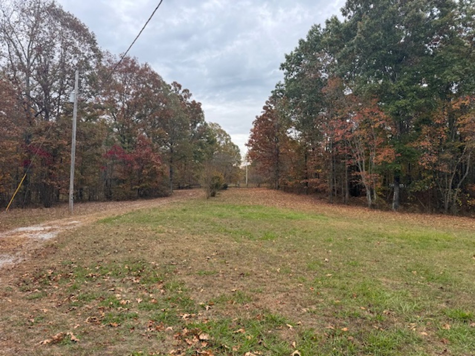 Image for Rustic Retreat / Country Getaway on 16+ Acres 1 Hour West of Nashville