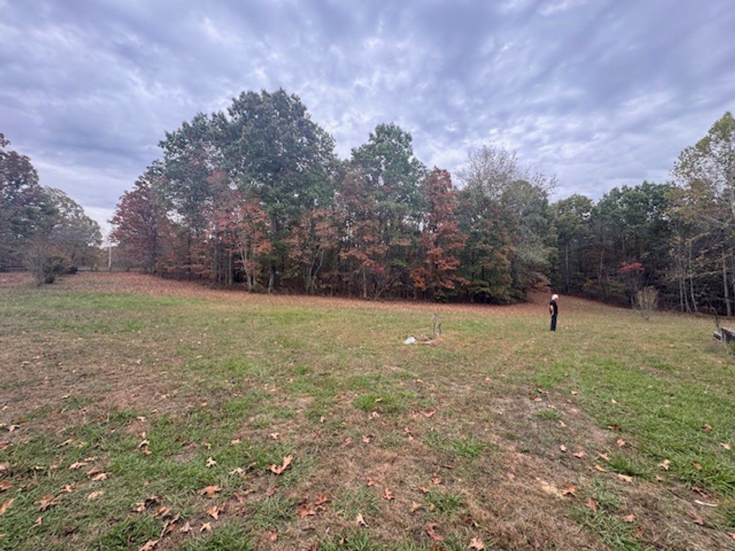 Image for Rustic Retreat / Country Getaway on 16+ Acres 1 Hour West of Nashville