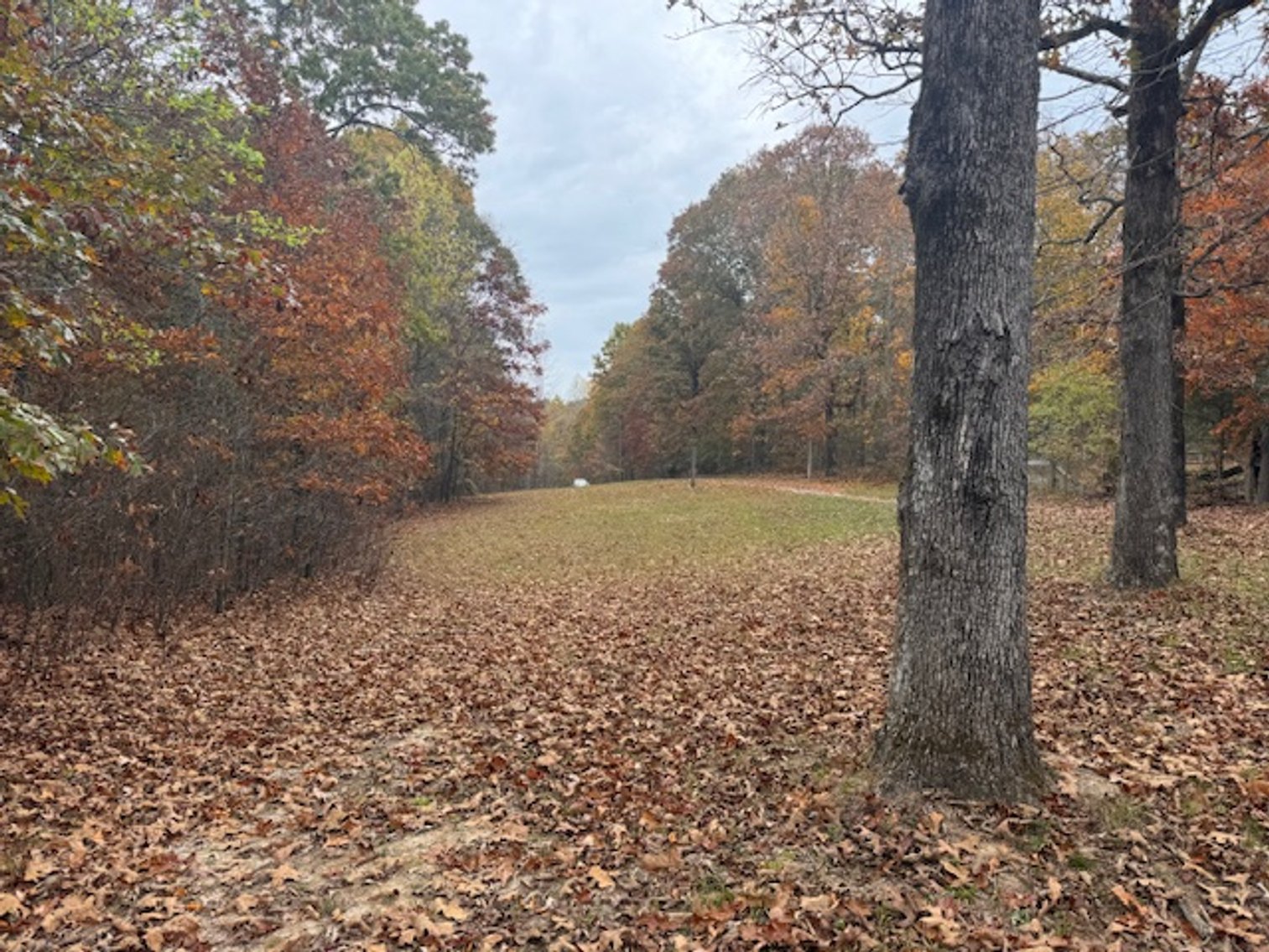 Image for Rustic Retreat / Country Getaway on 16+ Acres 1 Hour West of Nashville