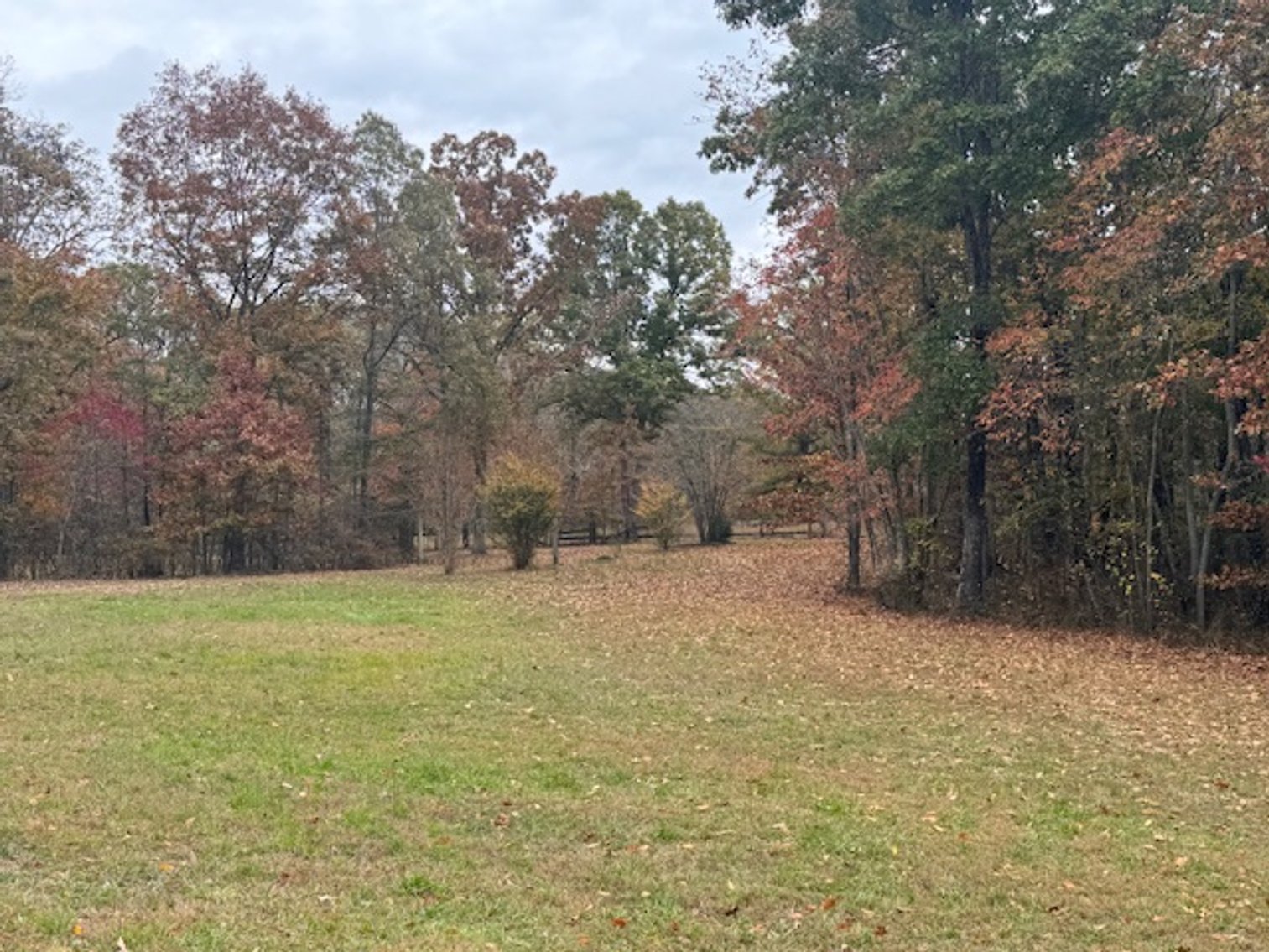 Image for Rustic Retreat / Country Getaway on 16+ Acres 1 Hour West of Nashville