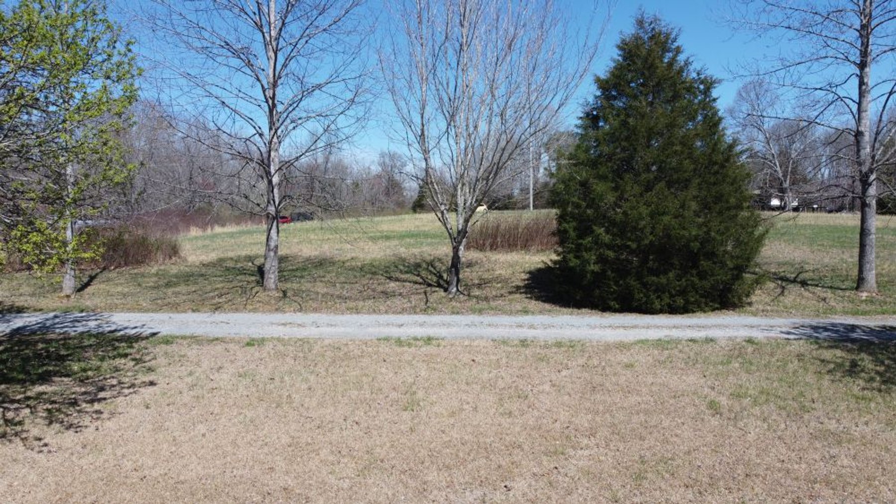 Image for 5.4 Acres off Hwy 7 - House & Shop on Buck Litton Road