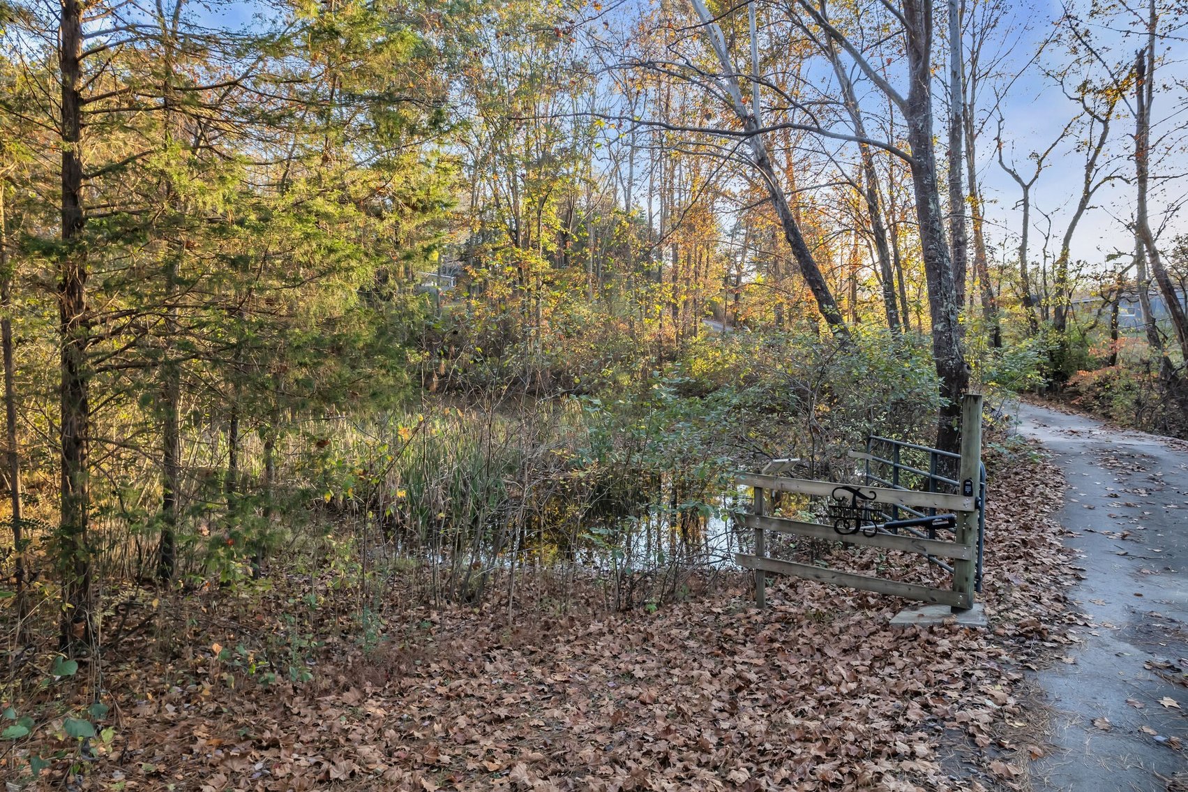 Image for 
