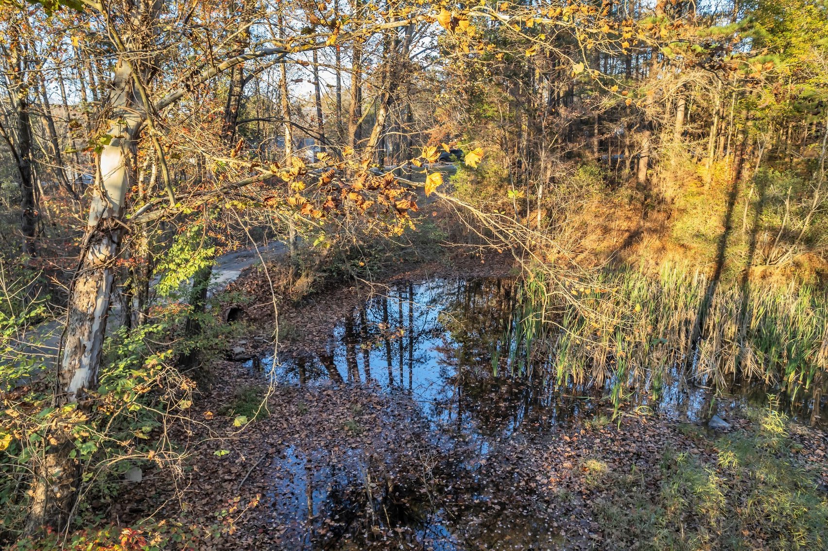 Image for 