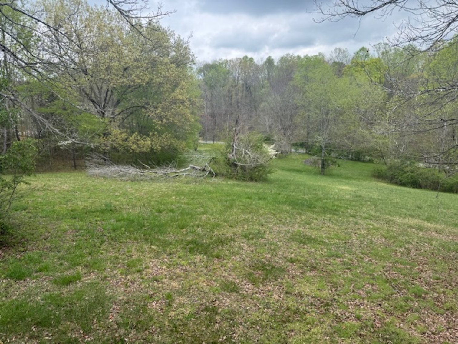 Image for Valley Road - 2 Houses / 2 Roads - 8 acres w/ Creek