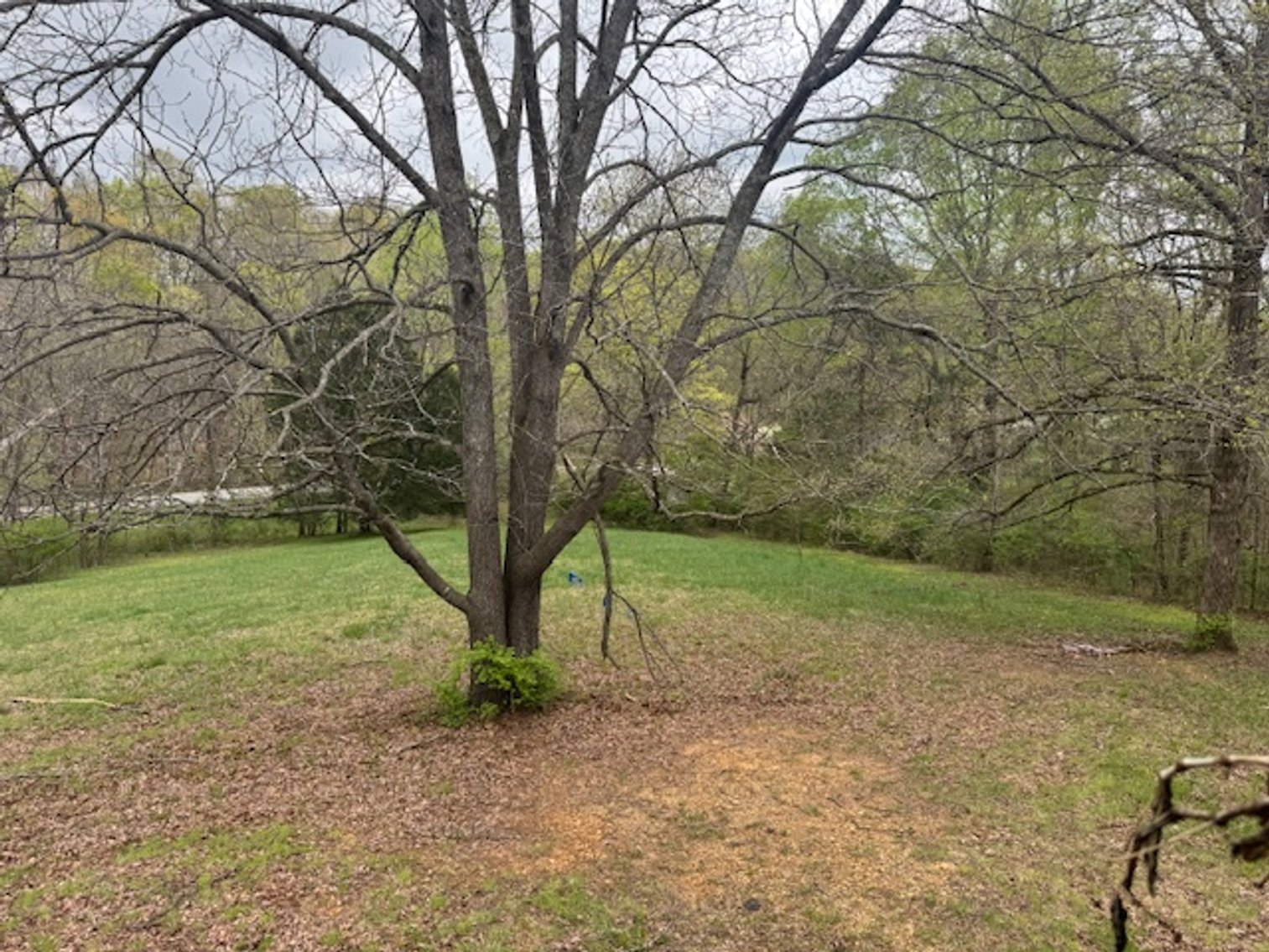 Image for Valley Road - 2 Houses / 2 Roads - 8 acres w/ Creek