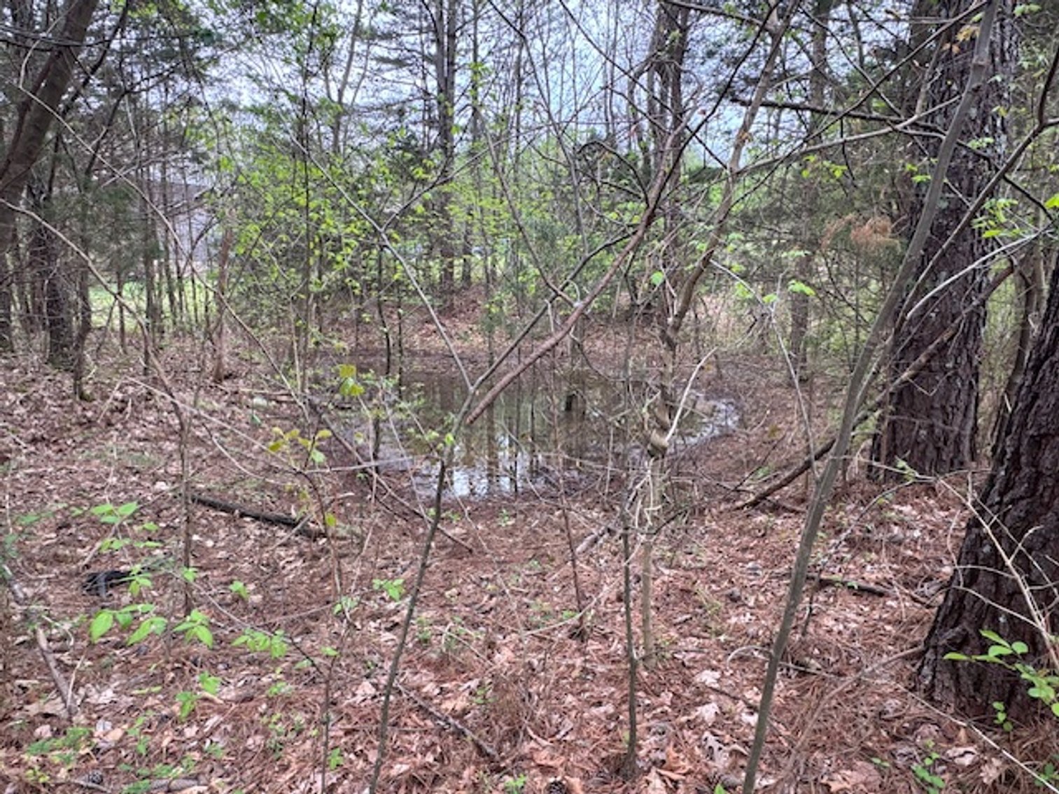 Image for Valley Road - 2 Houses / 2 Roads - 8 acres w/ Creek