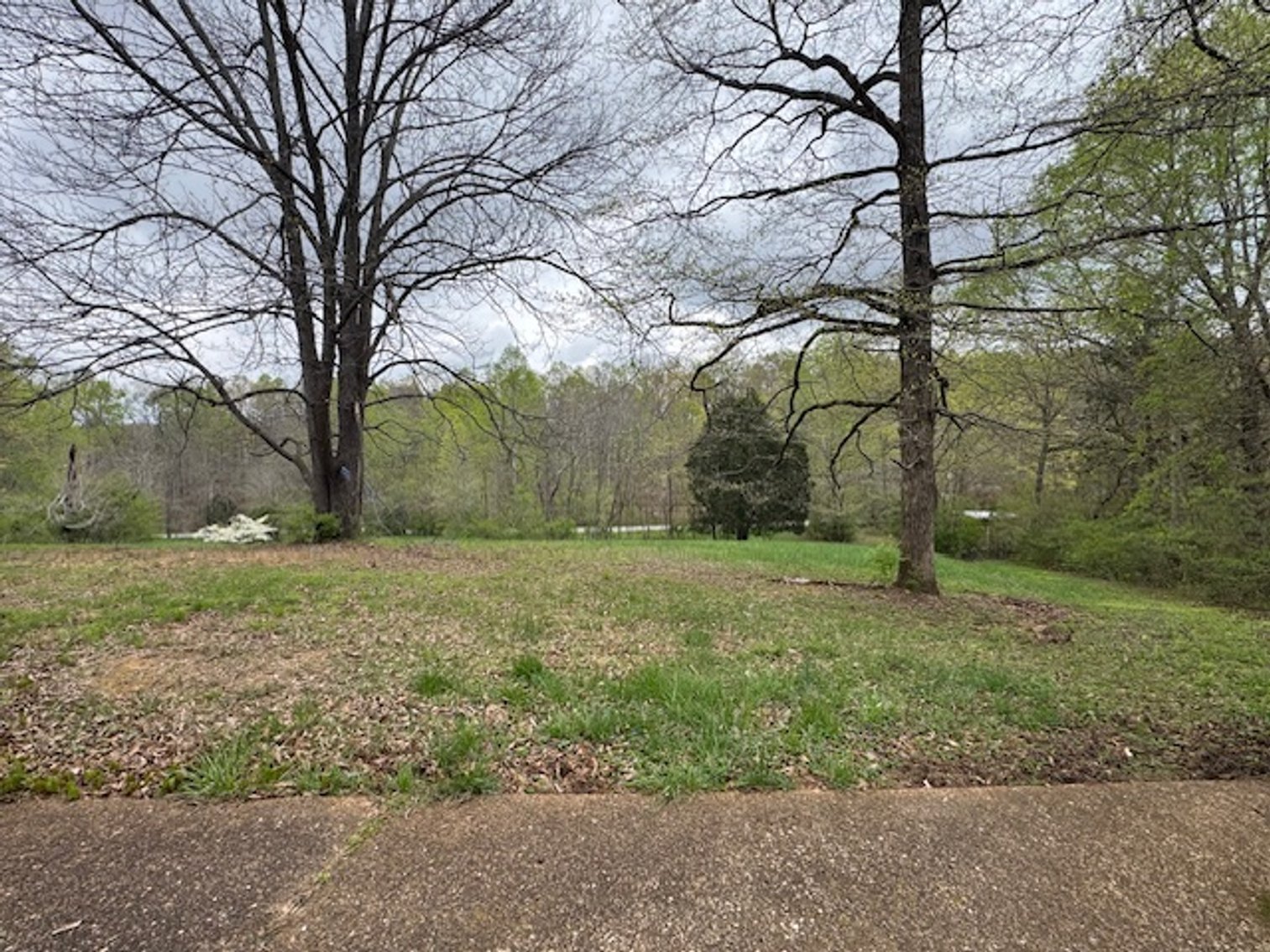 Image for Valley Road - 2 Houses / 2 Roads - 8 acres w/ Creek