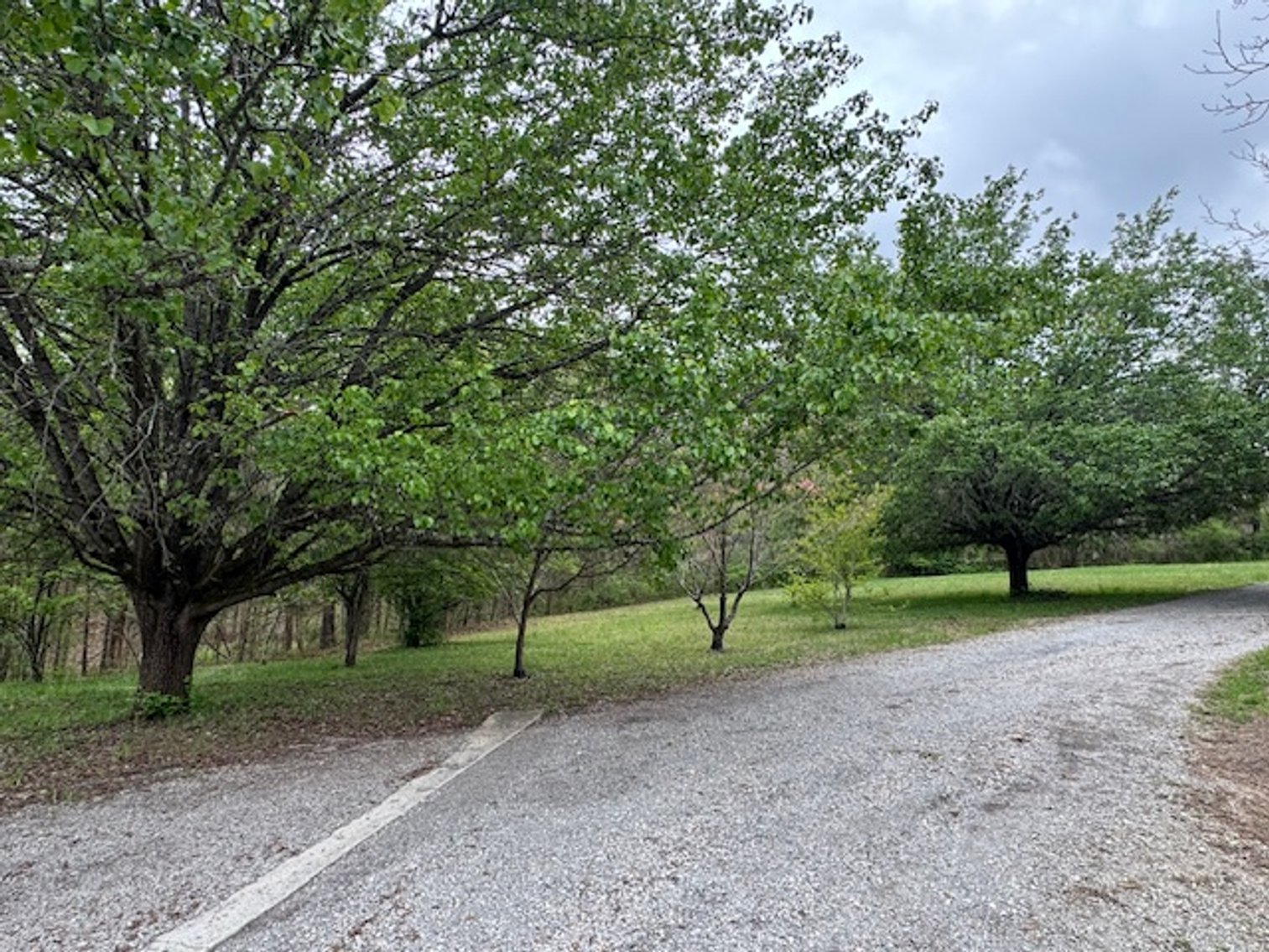 Image for Valley Road - 2 Houses / 2 Roads - 8 acres w/ Creek