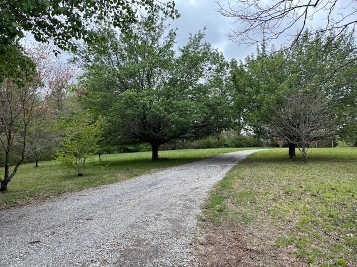 Image for Valley Road - 2 Houses / 2 Roads - 8 acres w/ Creek
