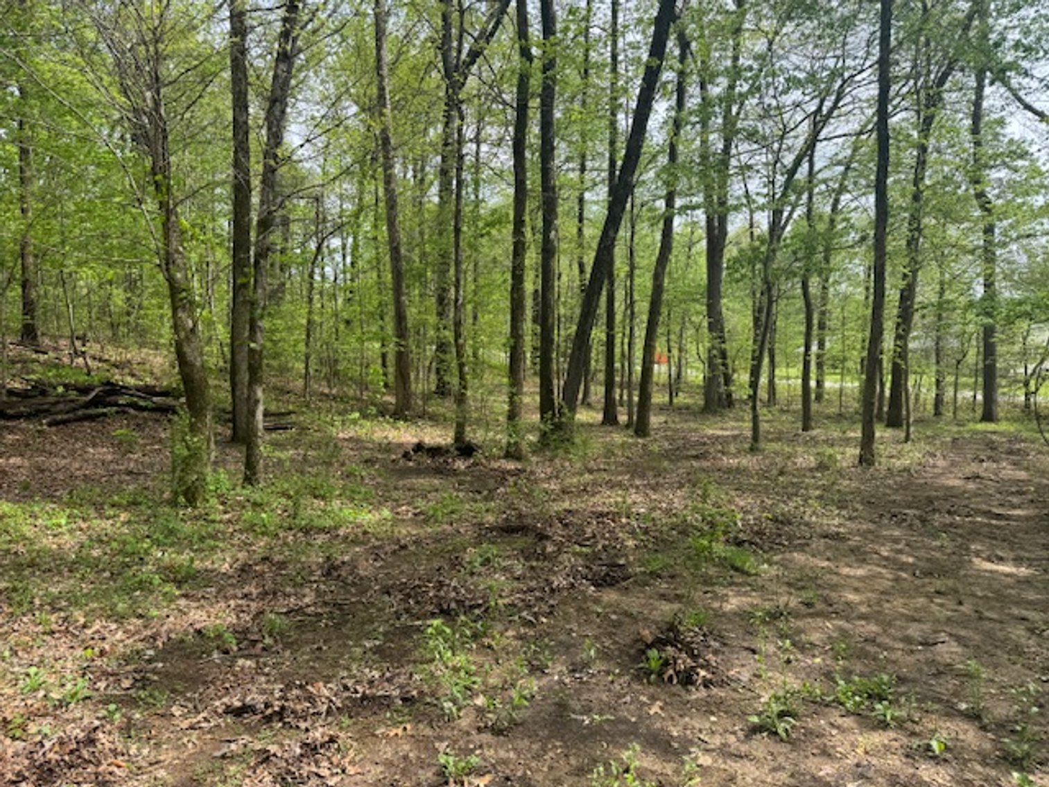 Image for Vacant Lot - 1 Acre in Beacon Light Estates - Bon Aqua, TN