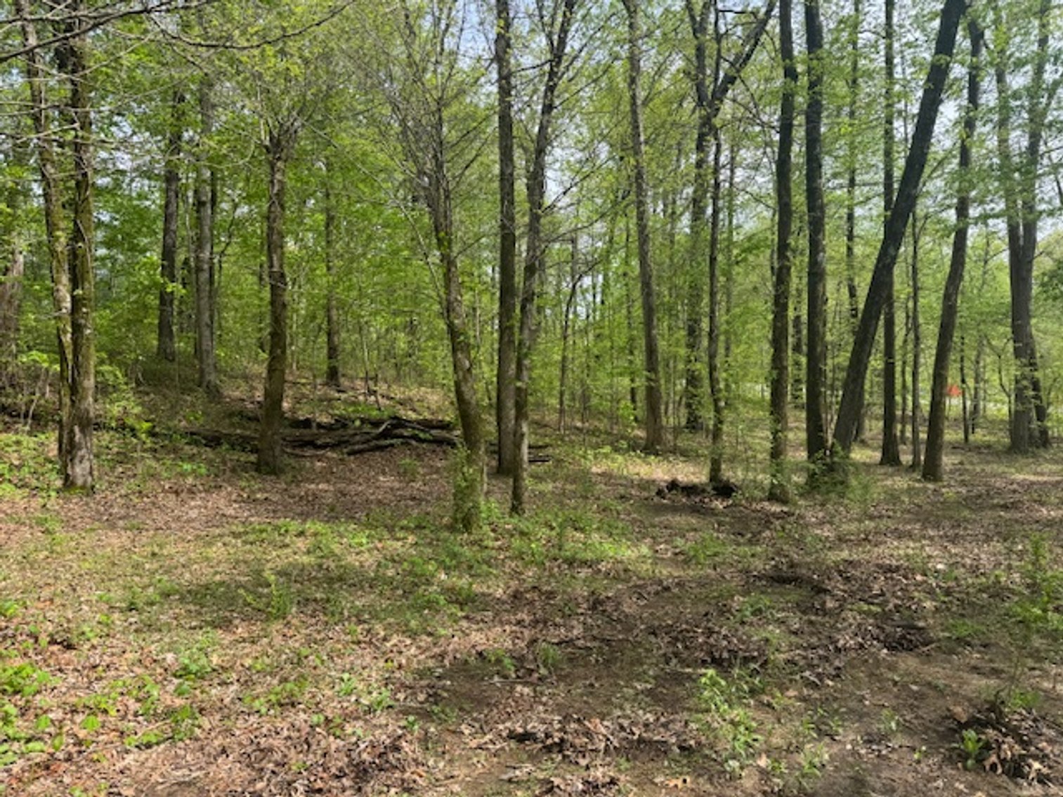 Image for Vacant Lot - 1 Acre in Beacon Light Estates - Bon Aqua, TN