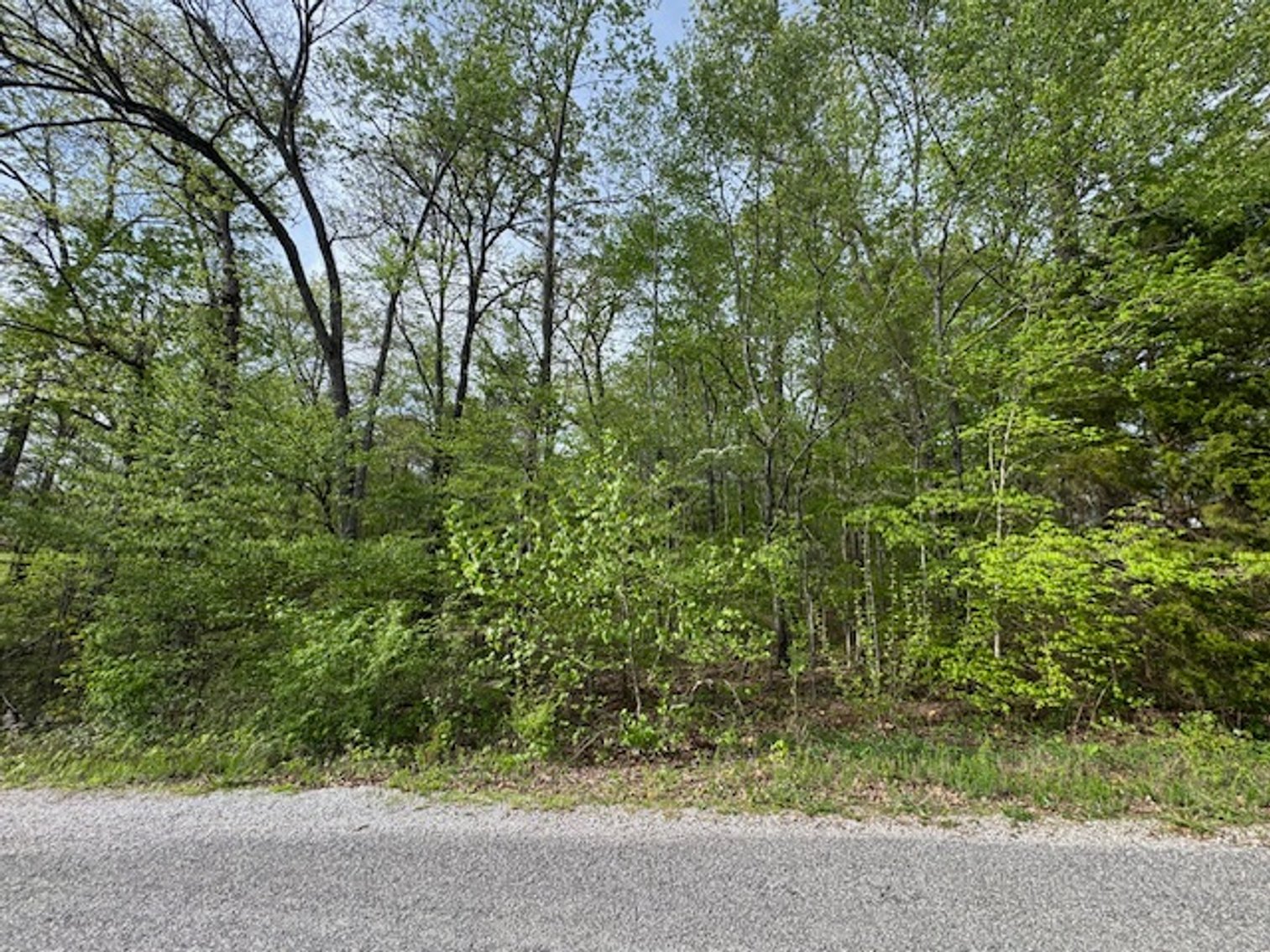 Image for Vacant Lot - 1 Acre in Beacon Light Estates - Bon Aqua, TN